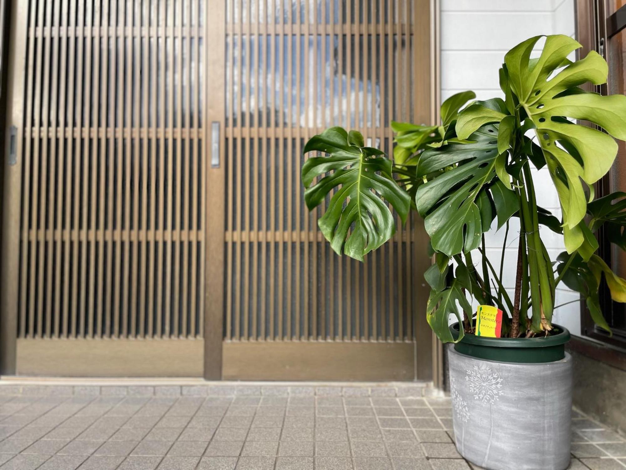島の民泊 天川 -てぃんご- Tingo Japanese Kominka Stay Tatsugo Exterior photo